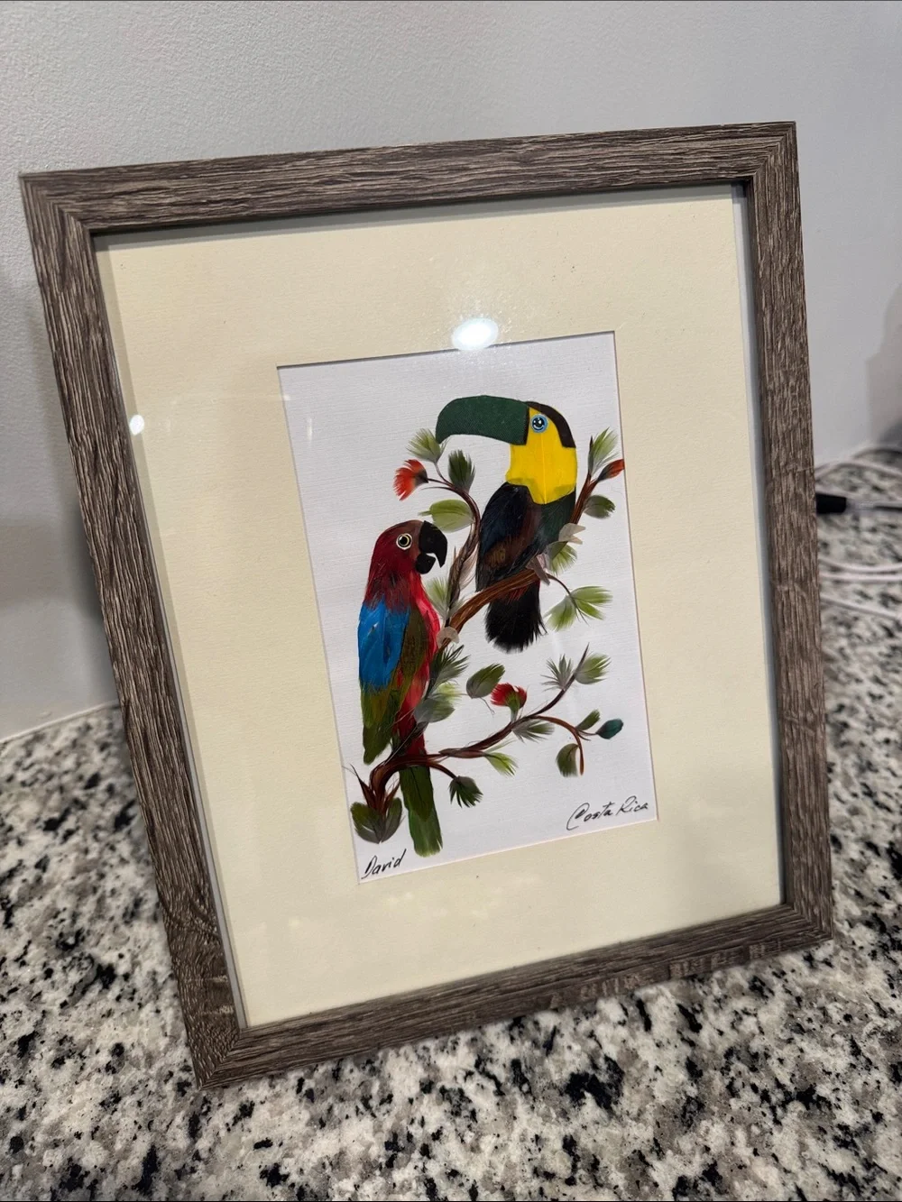 Framed feather art parrot Costa Rica